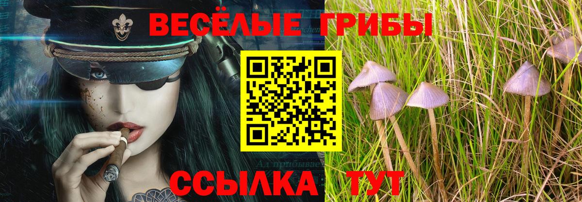 Галлюциногенные грибы мицелий  Вход с VPN  Краснознаменск  Псилоцибиновые грибы MAGIC MUSHROOMS 