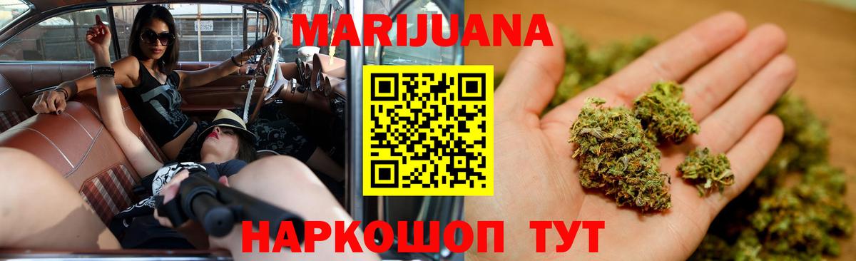 Конопля сатива Краснознаменск